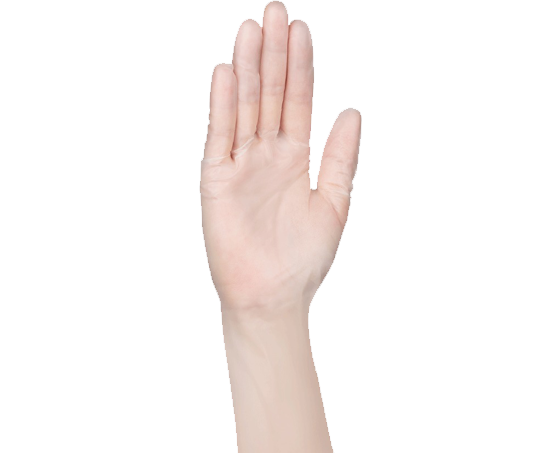 Vinyl Disposable Gloves